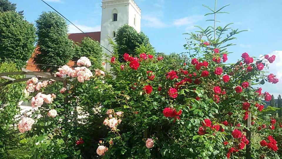 Apasjonata Lägenhet Świdnica Exteriör bild