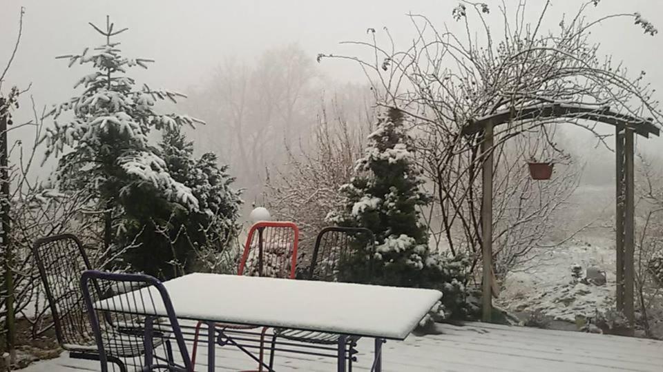 Apasjonata Lägenhet Świdnica Exteriör bild