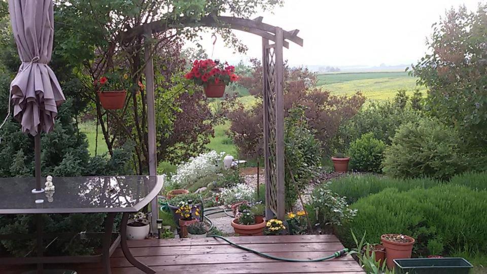 Apasjonata Lägenhet Świdnica Exteriör bild