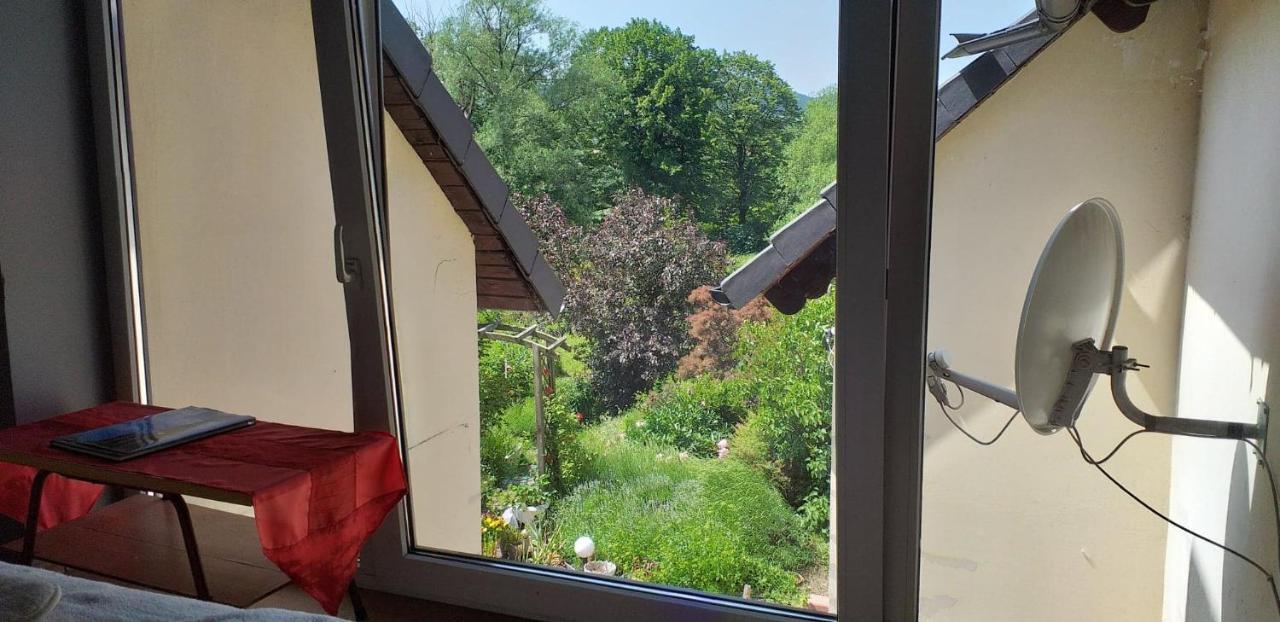 Apasjonata Lägenhet Świdnica Exteriör bild